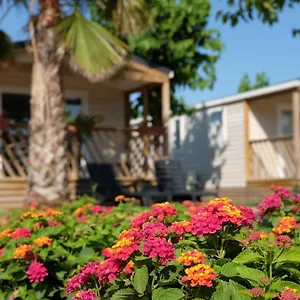 camping-el-pinar.catalonia-hotels.com/